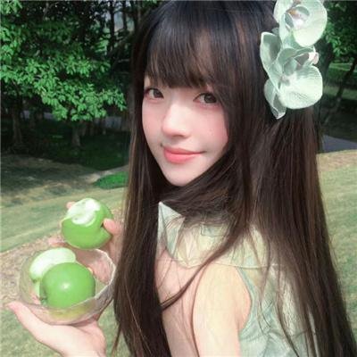 冲绳小芙蓉